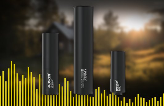 MINI: Hausken Silencers